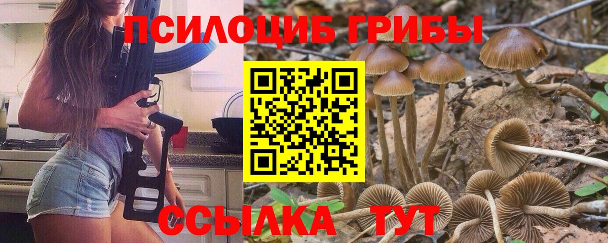 Галлюциногенные грибы Psilocybe  Псилоцибиновые грибы мухоморы  Лангепас  Вход с VPN 